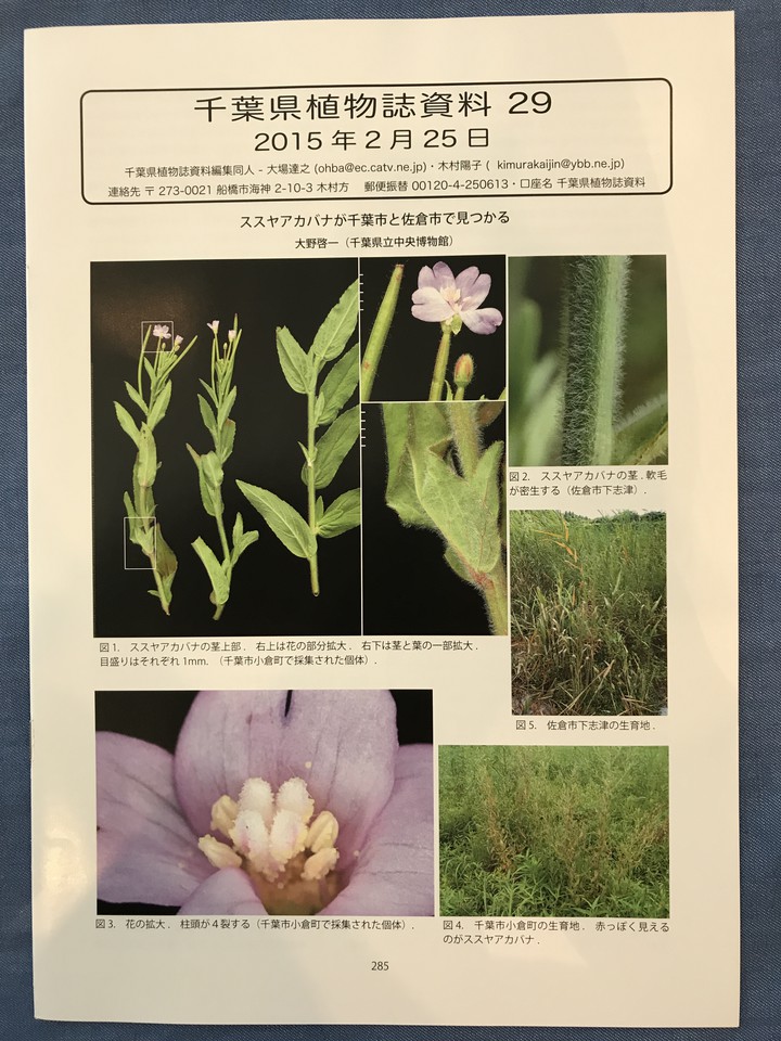 Npo法人 千葉自然学校 ミュージアムショップ 千葉県植物誌資料 千葉県植物誌資料no 0 29